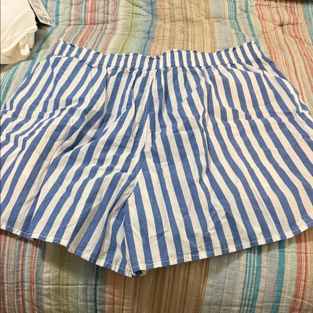 Madewell Blue and White Vertical Stripe Shorts Boxer Style - Picture 3 of 3